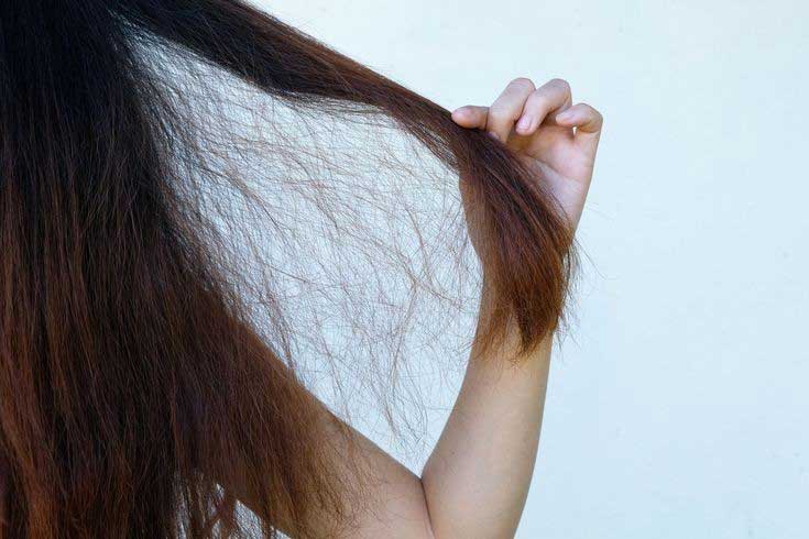 راهنمای جامع درمان موهای خشک و آسیب دیده